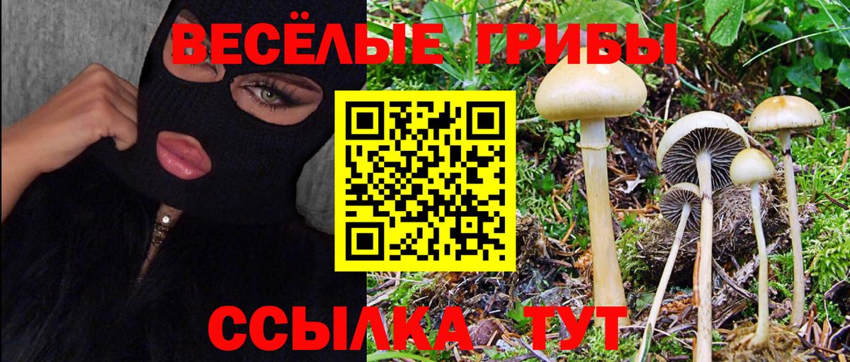 Дятьково  Галлюциногенные грибы ЛСД  Вход с VPN 