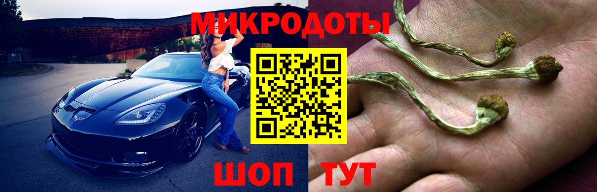 Галлюциногенные грибы MAGIC MUSHROOMS Дятьково